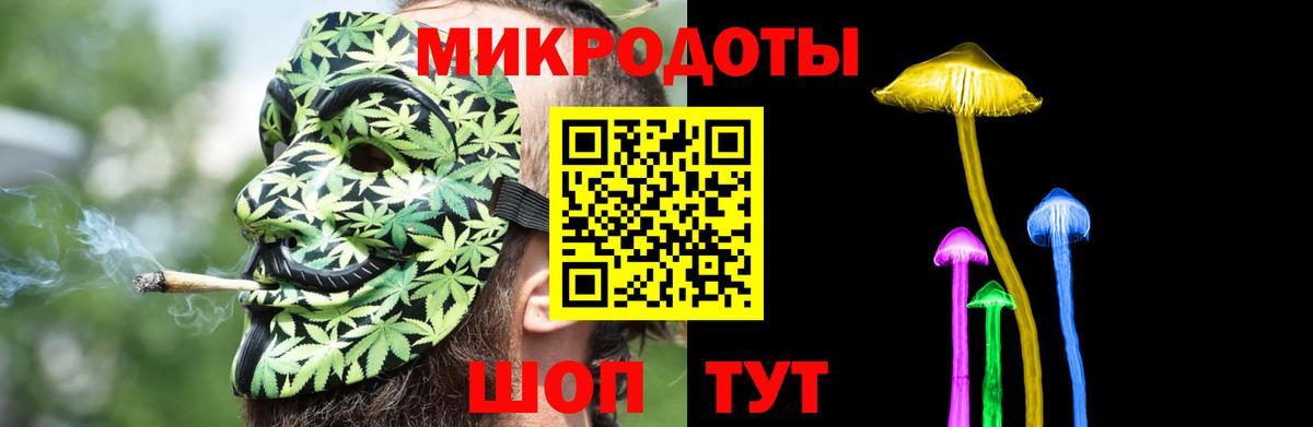 Псилоцибиновые грибы Psilocybine cubensis Ангарск